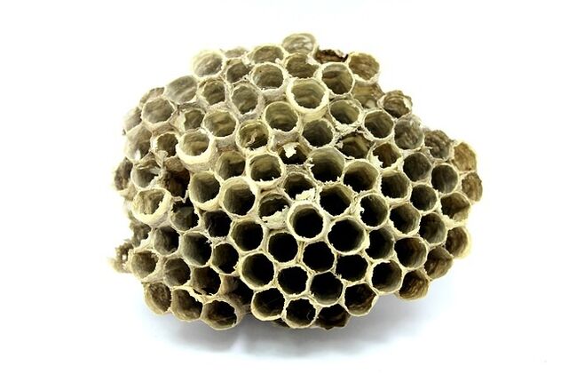 Keramin kremasında propolis özü